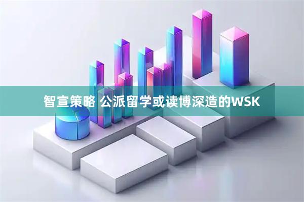 智宣策略 公派留学或读博深造的WSK