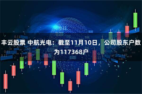 丰云股票 中航光电：截至11月10日，公司股东户数为117368户