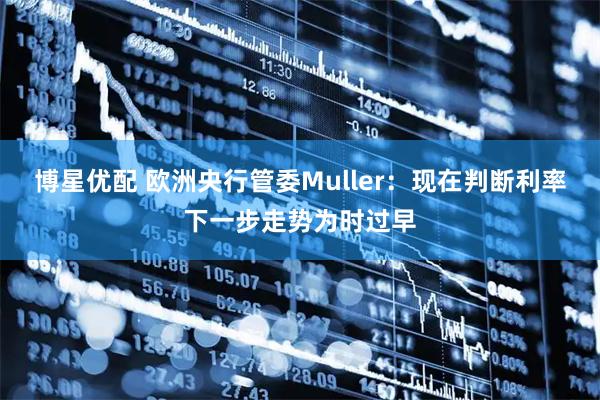 博星优配 欧洲央行管委Muller：现在判断利率下一步走势为时过早